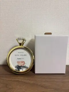 【美品】SALLI RING FRAME Francfrancのサムネイル