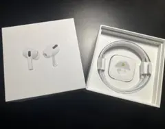 Apple 正規品iphone ライトニングケーブル 充電器 急速 純正品