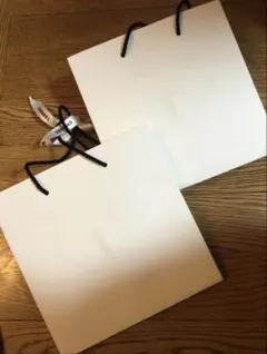 シャネル　CHANEL ジュエリー　ショップ袋　2個セット