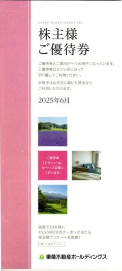 東急不動産HD 株主優待券１０００株（宿泊券、共通券、スポーツ券等）匿名配送