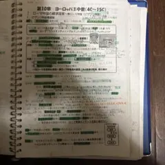 一橋上位合格者の世界史通史プリント(全範囲網羅)