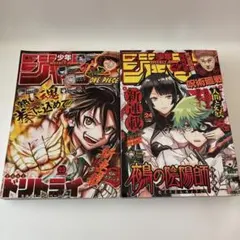ぱやん様 リクエスト 2点 まとめ商品
