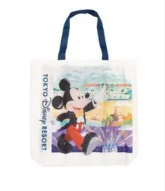 ＊新品同様＊東京ディズニーリゾート＊エコバッグ＊ミッキー＊ミニー＊ランド＊シー＊