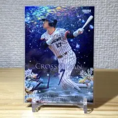 Item thumbnail for item 5b569017-54a4-4f38-a92c-4f42ccde2f04