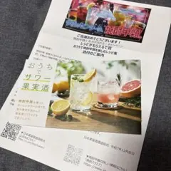 『おうちでサワー果実酒』レシピ集(焼酎甲類キャンペーン)