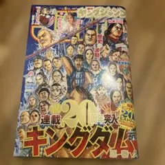 ヤングジャンプGOLD 付録 キングダム 48巻 コミックかけ替えカバー 未
