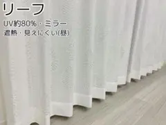 Item thumbnail for item 56a04b31-a4d6-48fe-8b2c-225c1e627556