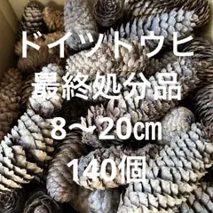 2026年最新】ドイツトウヒ松ぼっくりの人気アイテム - メルカリ