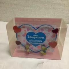 8491⑥Tokyo Disney Resortフォトフレーム ドナルドデイジー