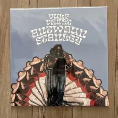 2026年最新】vulfpeck レコードの人気アイテム - メルカリ