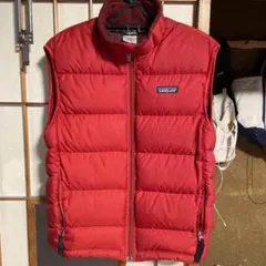 パタゴニア ダウンベスト