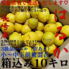 訳あり！！はるかみかん❤️モード❤️チン入❤️(゜o゜;;？？？❤️混合❤️10キロ❤️