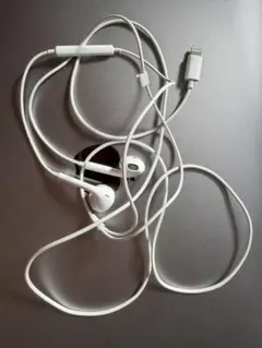 Item thumbnail for item 55aab8cc-fd5f-47ad-9995-5f75cc14ff51