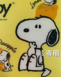 【新品】PEANUTS スマホショルダーバッグ グレージュ　SNOOPY
