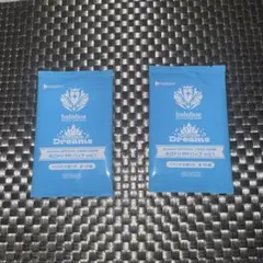 ホロカ　ホロドリPRパック未開封　2個