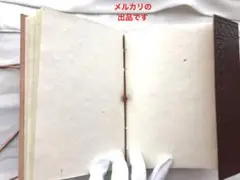 Item thumbnail for item 421cf557-63c2-4983-9d09-02ba1c0e59a6