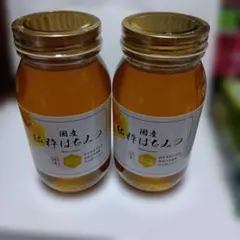 2025年最新】やまと蜂蜜堂の人気アイテム - メルカリ