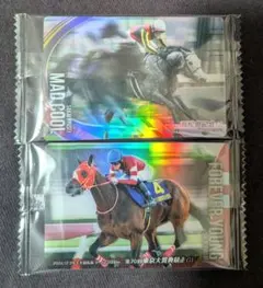 サラブレッドホースコレクション マッドクール フォーエバーヤング 坂井瑠星