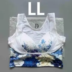 セレブラ DR METHOD CelleBra サムシングブルー LL