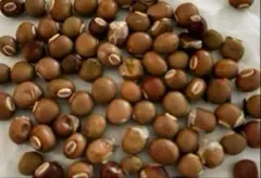 222様 リクエスト 3点 まとめ商品