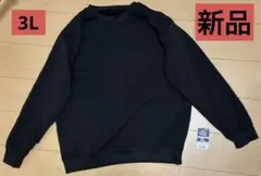 Item thumbnail for item f6ef4ab0-d194-4e6f-8847-d1908337326c