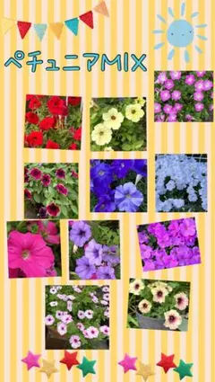 あーりー様 リクエスト 2点 まとめ商品