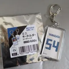 日本ハムファイターズ　54山縣秀　ミニキーホルダー