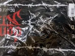 Straykids DominATE タオルのサムネイル