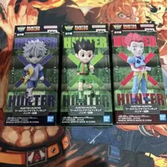 HUNTER×HUNTER ワールドコレクタブルフィギュア ハンター試験