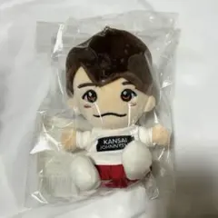 西畑大吾 ちびぬい1弾 デタカ42枚 生徒手帳4枚