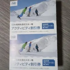 日本駐車場開発 株主優待 スキー場 アクティビティ割引券 2枚