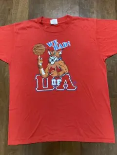 80s USA製 アリゾナ大学 カレッジTシャツ XL シングルのサムネイル