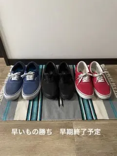 VANS era エラ 27,5 まとめ売り