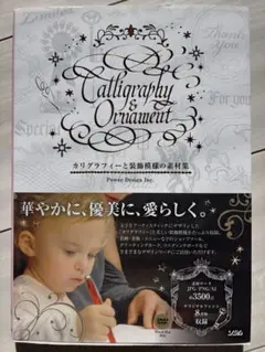 【美品】Calligraphy & Ornament DVD 素材集