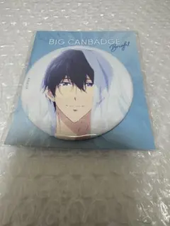2026年最新】七瀬遙 缶バッジの人気アイテム - メルカリ