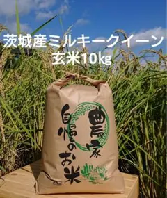 あんちゃん様専用　茨城令和7年産ミルキークイーン玄米10㎏