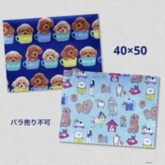 Item thumbnail for item 92286e88-703c-4da7-9f07-dc0318960713