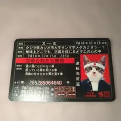 2026年最新】なめ猫免許証の人気アイテム - メルカリ