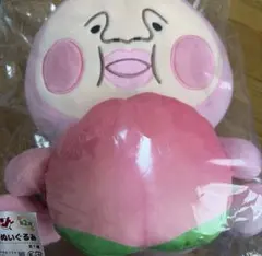 こびとづかん カクレモモジリ ぬいぐるみ A賞 - メルカリ