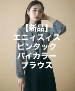 【新品】洗える　エニィスィス　anysis フリルスタンドピンタック ブラウス