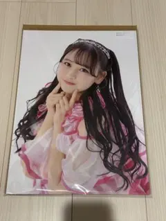 FRUITS ZIPPER 松本かれん ポスター オン特