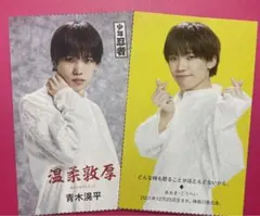 STAGE navi ステナビ 四字熟語 ジュニア名鑑 少年忍者　青木滉平