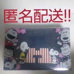 PEANUTSスクエアポーチA　スヌーピー