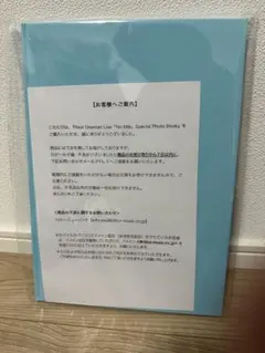 希少 Laguna Moon 2009 カタログ 藤井リナ Lena Fujii - メルカリ
