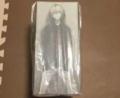 エヴァフェス フィールズ最新機種体験 特典缶バッジ 渚カヲル - メルカリ