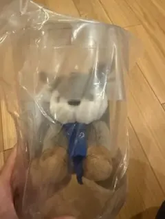 Item thumbnail for item 39c03e92-9f99-4c2d-9793-2712579f31f6