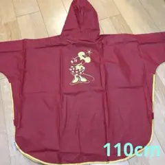 Tokyo Disney Resort ミニー レインポンチョ　レインコートのサムネイル