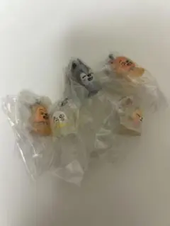 skzoo めじるしアクセサリー