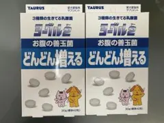 Item thumbnail for item d9fc8773-f602-43eb-a2d7-5b69986c7482