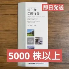 【Ameria★ 様専用】東急不動産ホールディングス株主優待券5000株以上